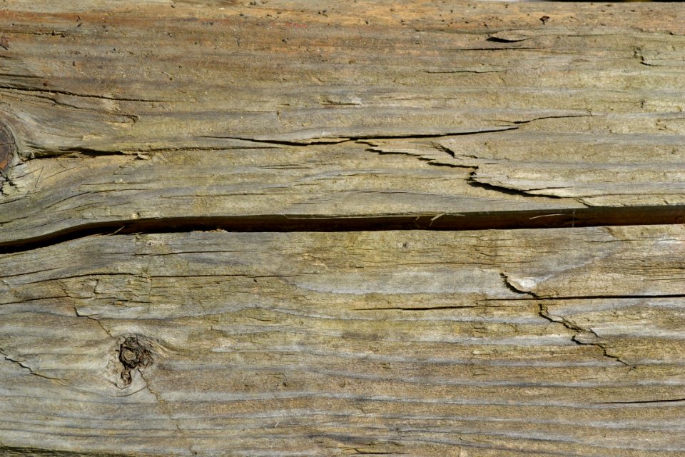 wood