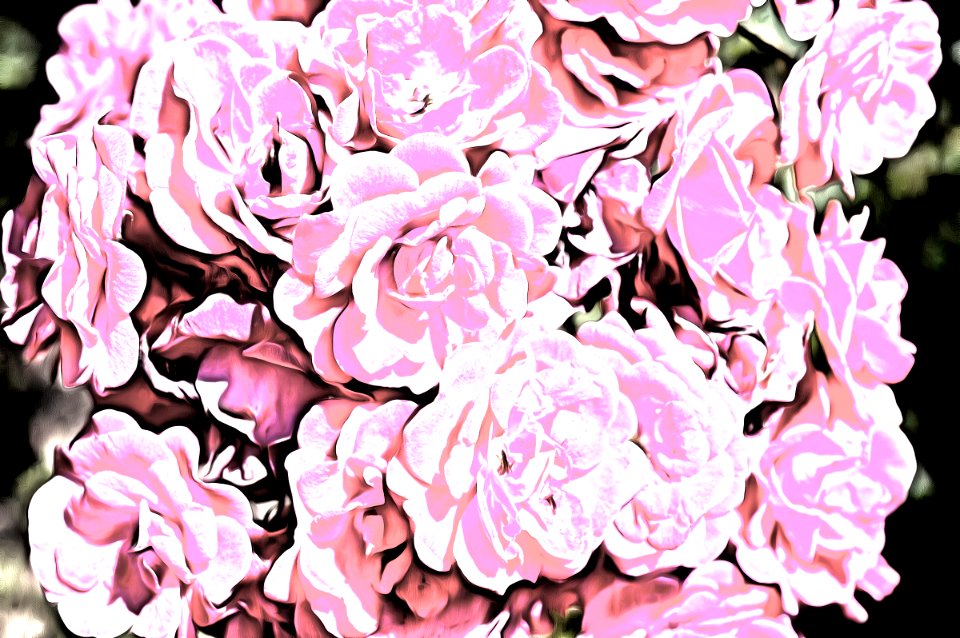 digital painting (19)