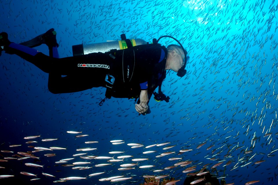 FGBNMS - diver and fish