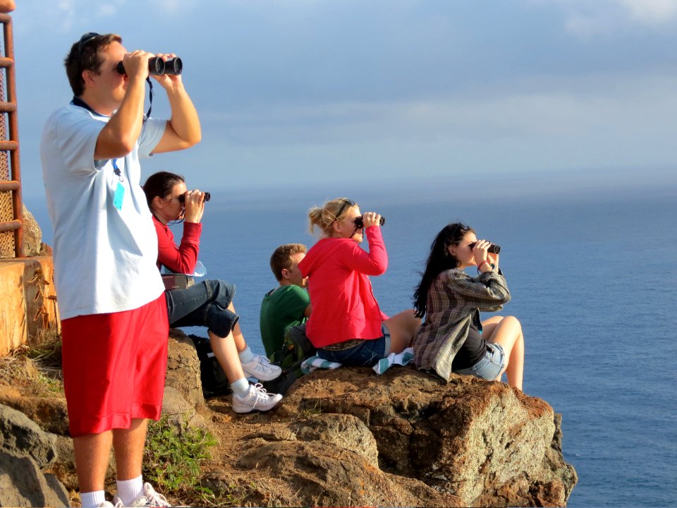 HIHWNMS - Ocean Count Volunteers