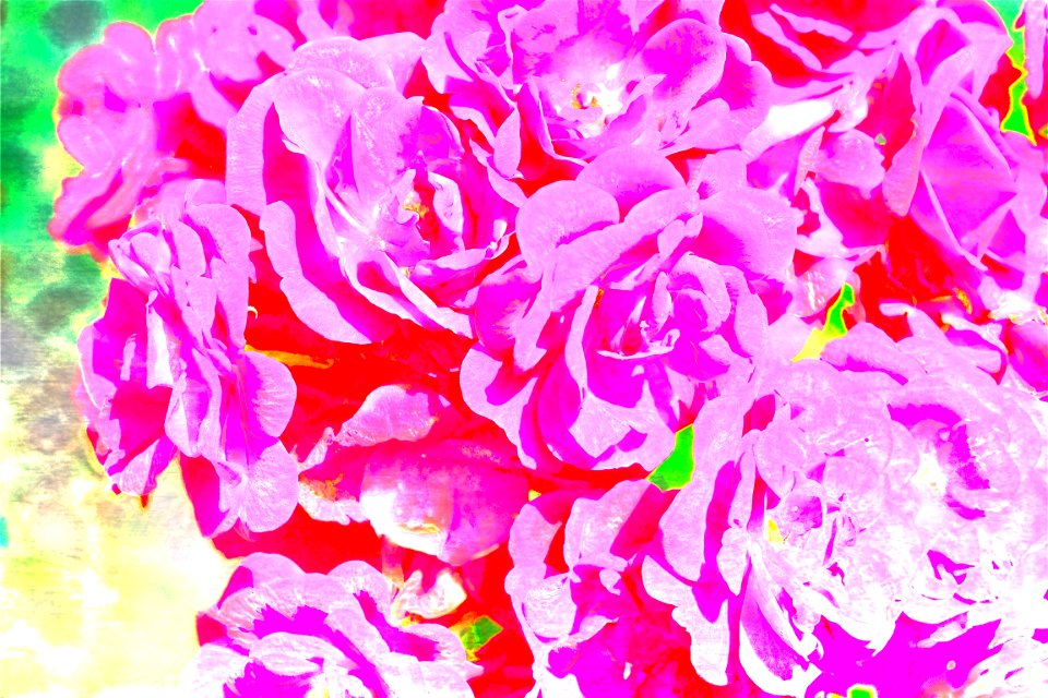 digital painting (2)