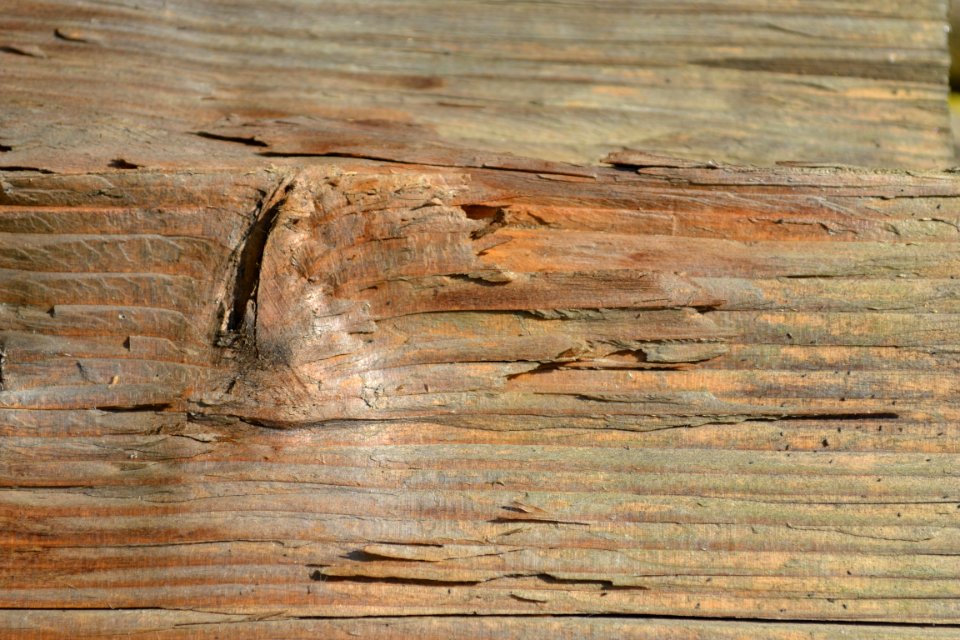 wood