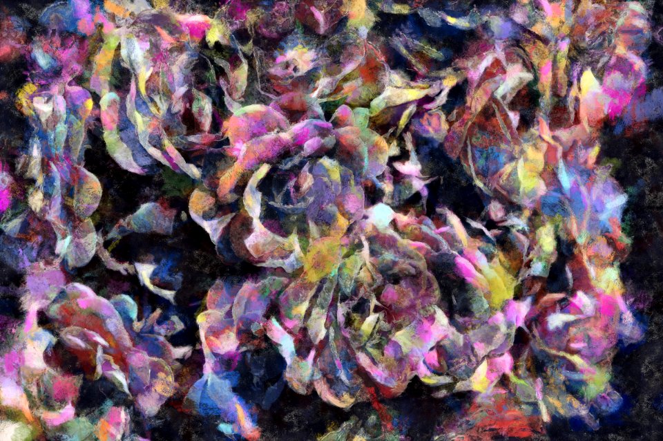 digital painting (27)