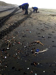 GFNMS - Ocean Beach Marine Debris photo