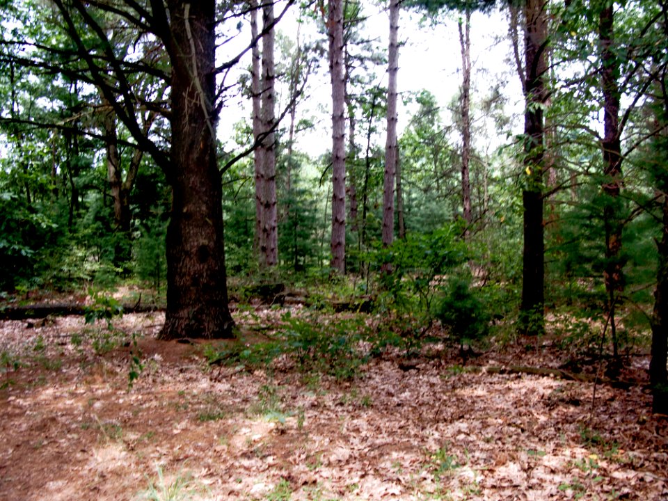 08northCounrty 2459