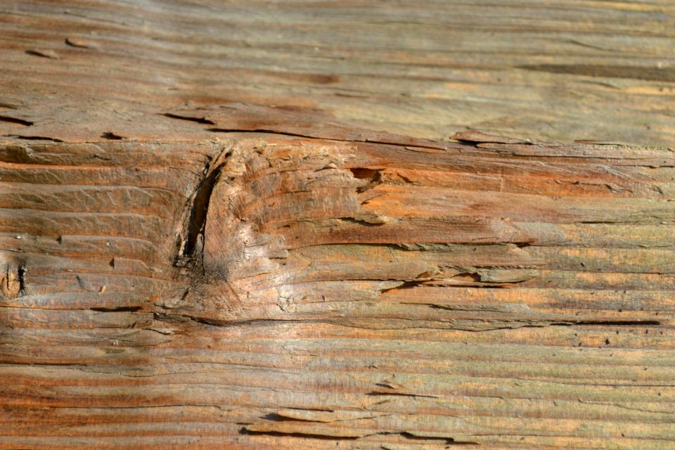 wood