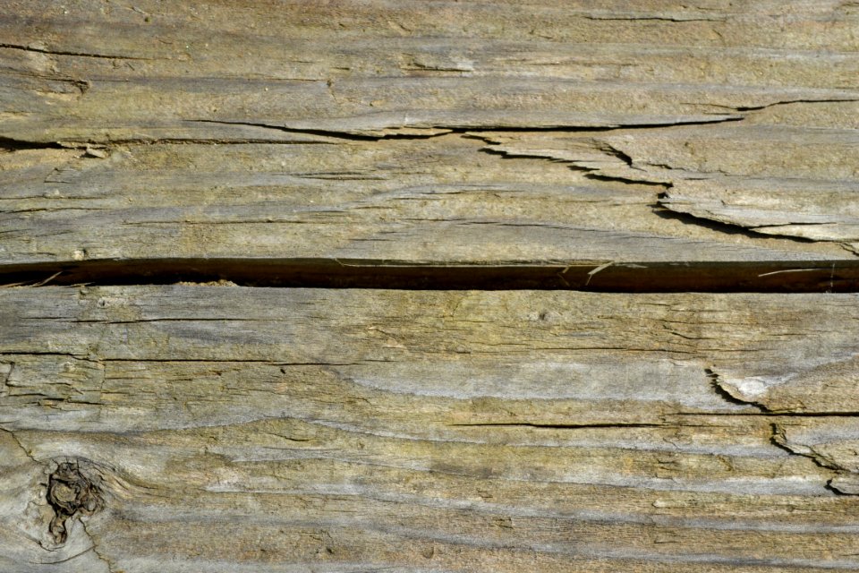 wood