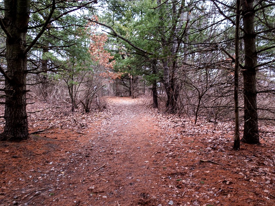 baldMountain 0153