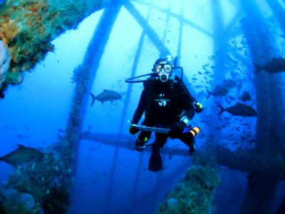 FGBNMS - Michelle Johnston Diving photo