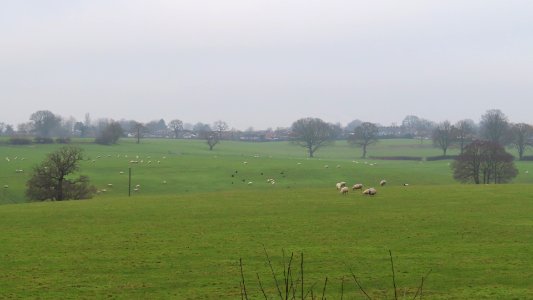 Rural Sandbach photo