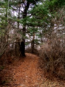 baldmountain 0053