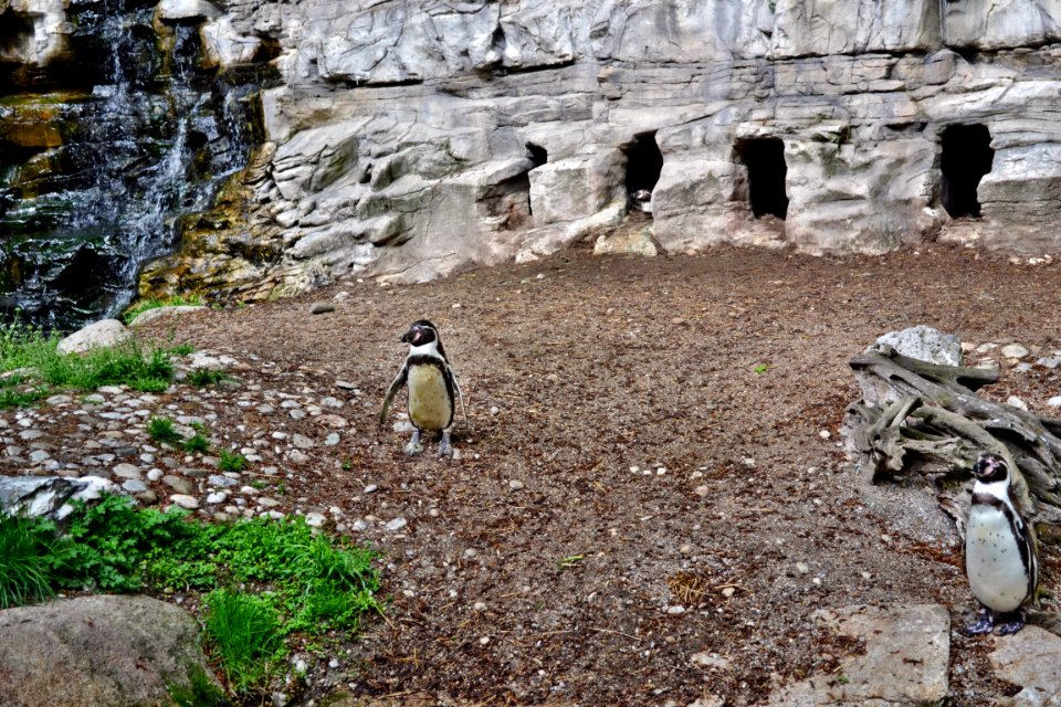 zoological garden