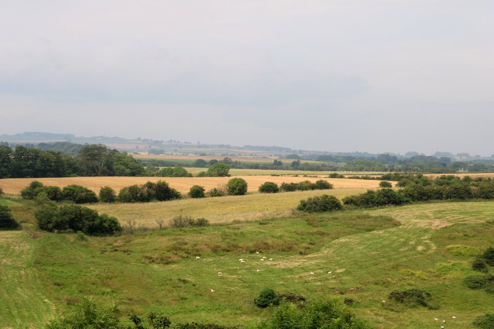 Northumber-farm-land 06
