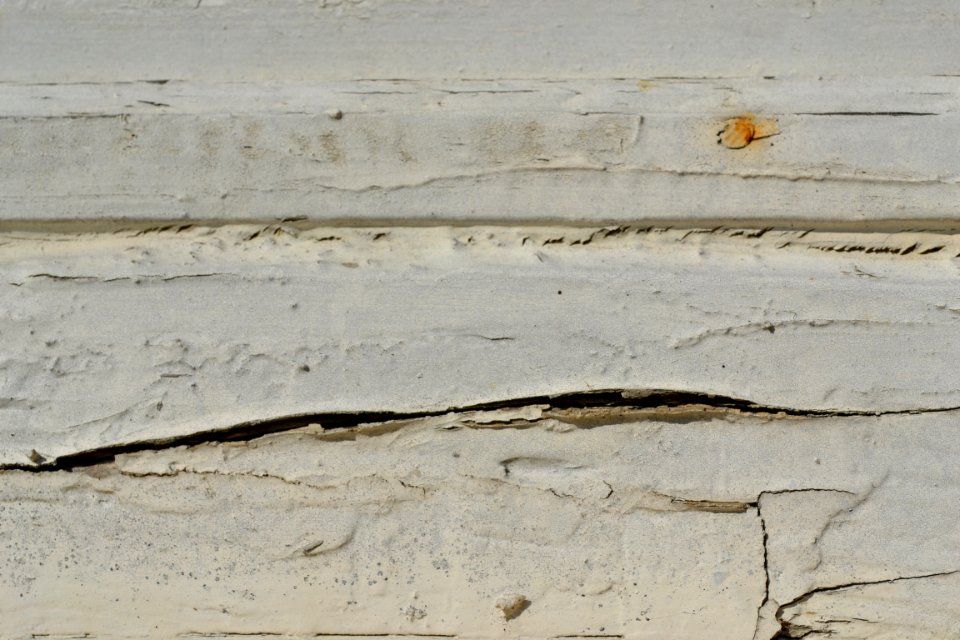 wood