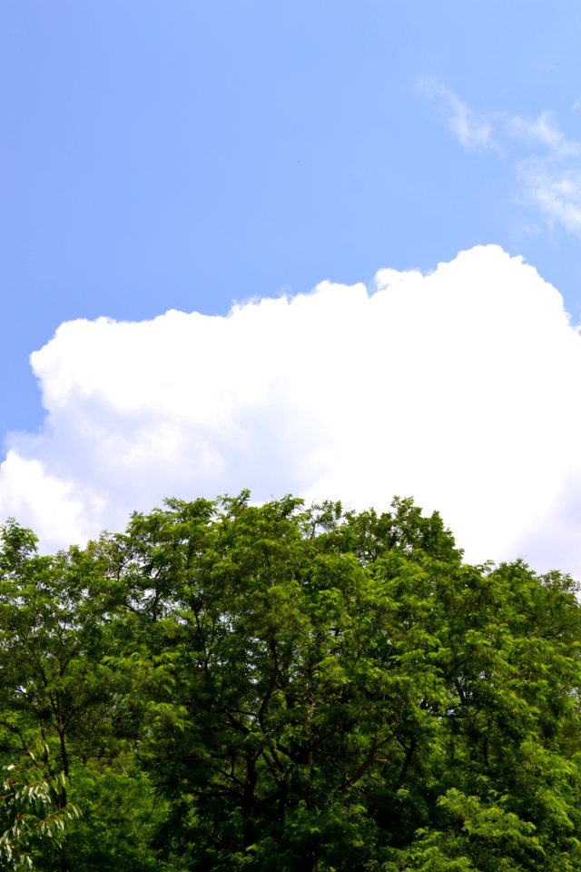 Clouds