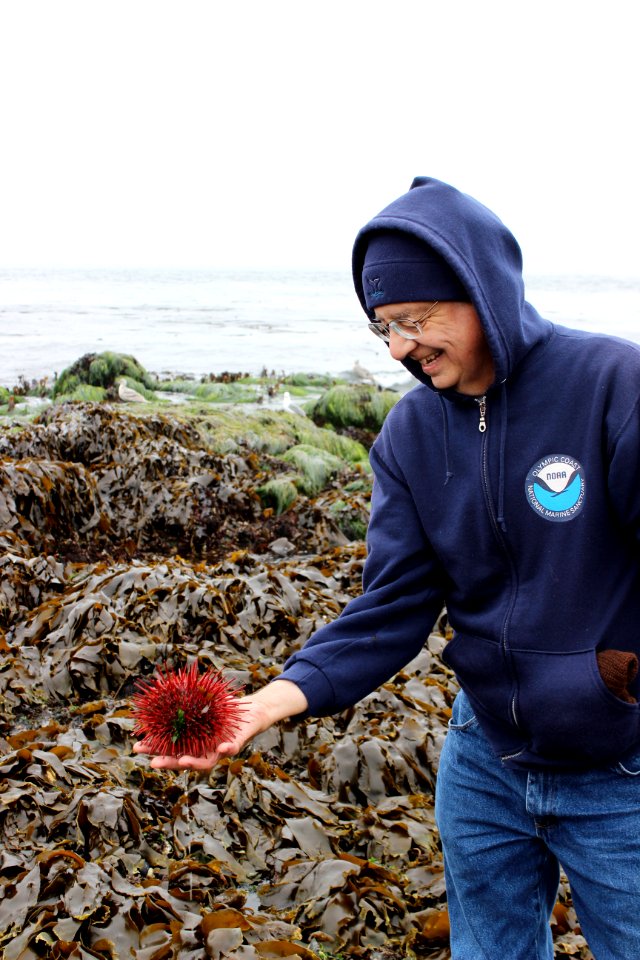 OCNMS - Jim Jewell Tide pooling
