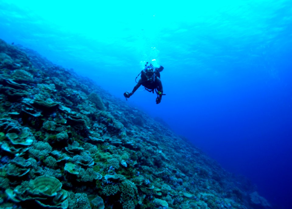 NMSAS - Swains Island Diver