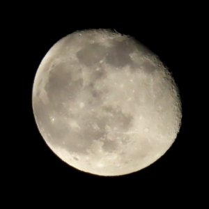 New Years Moon photo