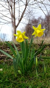 Signs of Spring photo