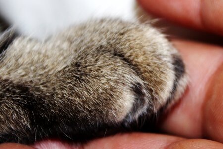 Hand trust hand giving