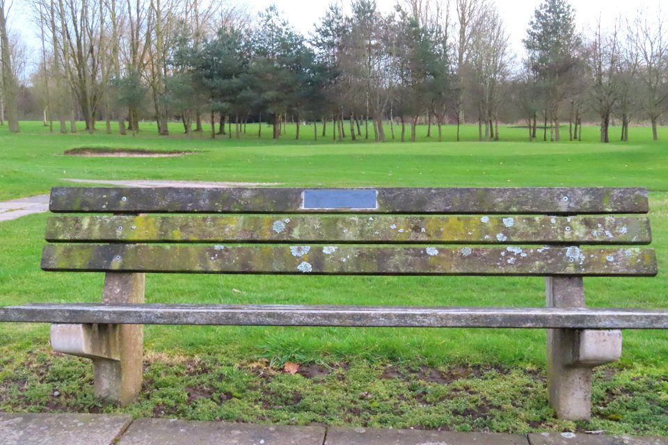 Bench at Woosie's Corner