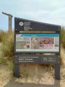 Ynyslas info photo