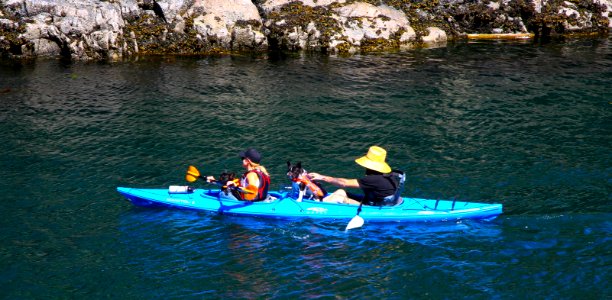 IMG 1406.jpg