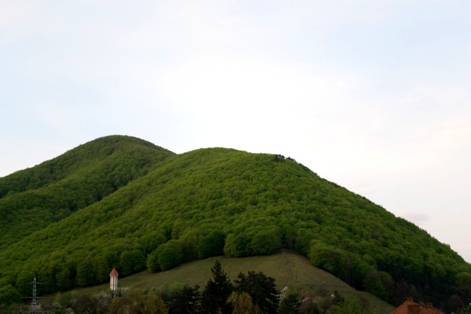 Nature