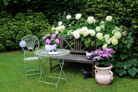 Summer romantic recovery