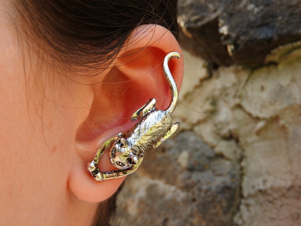 Cat silver ear