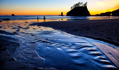 OCNMS -- Stream Meets The Sea