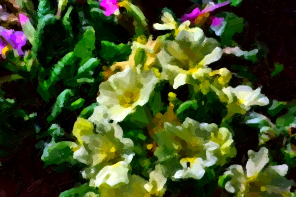 digital paintings