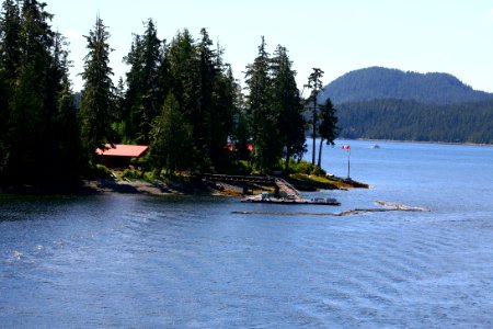 IMG 1552.jpg