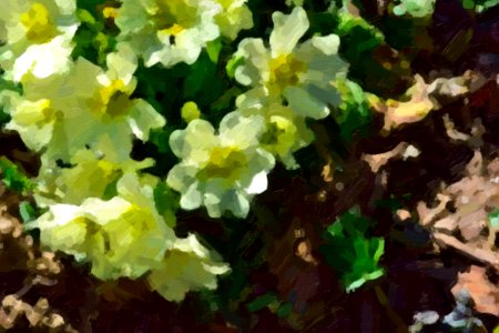 digital paintings