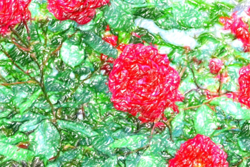 flowers (48)-crayon