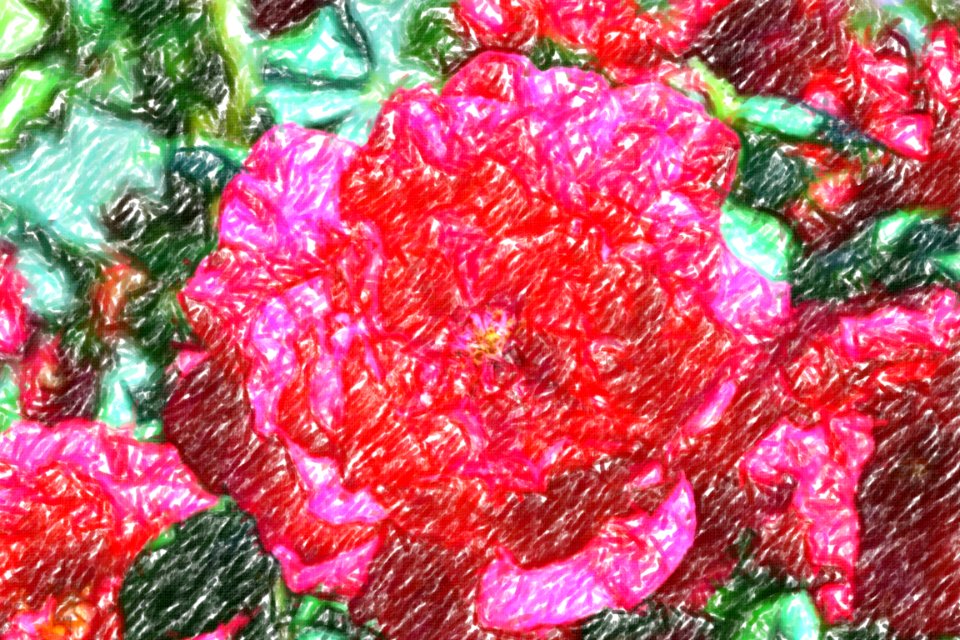 flowers (71)-crayon