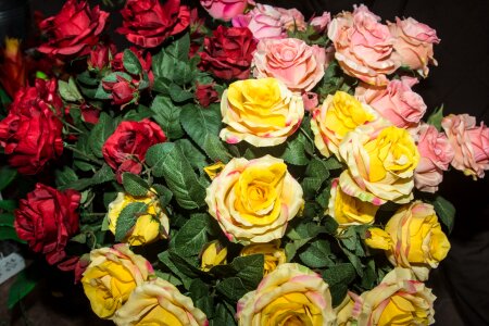 Roses orange roses bouquet of roses