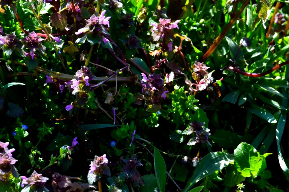 Spring 2014