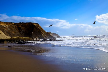 GFNMS - Galloway Creek photo