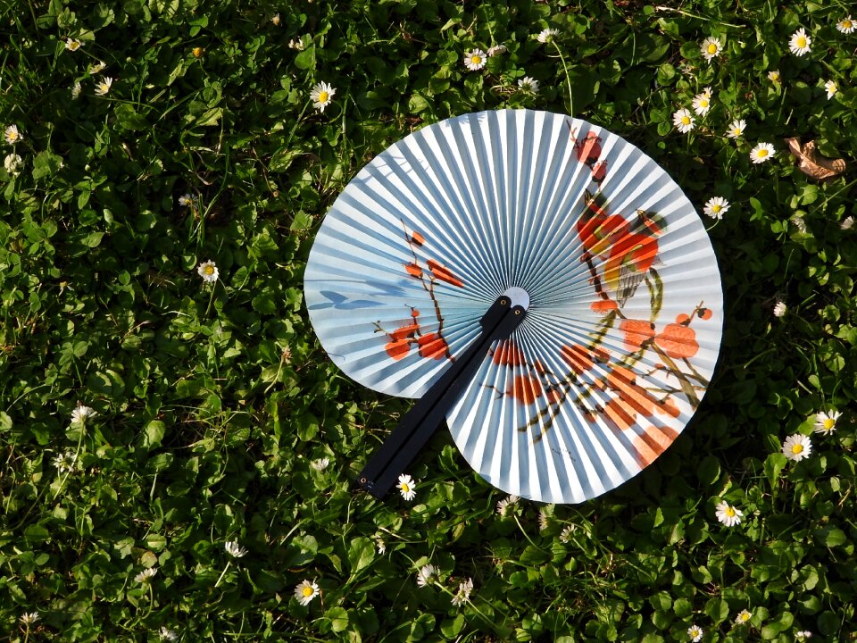Grass doplňky asia