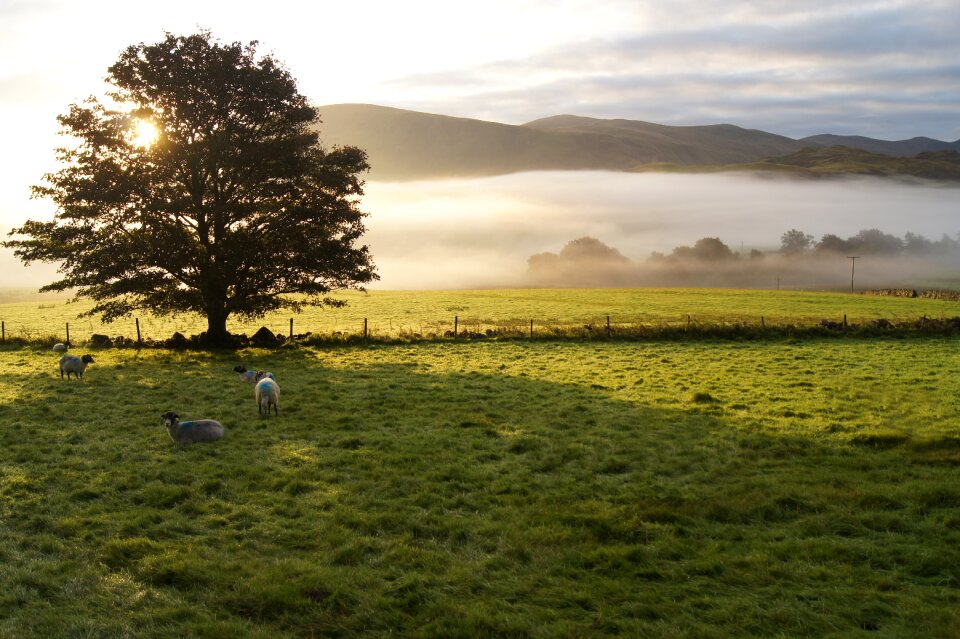 Mountain dawn morning news