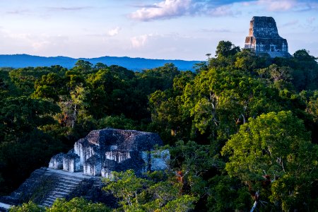 USAID Measuring Impact Conservation Enterprise Retrospective (Guatemala; Rainforest Alliance) photo