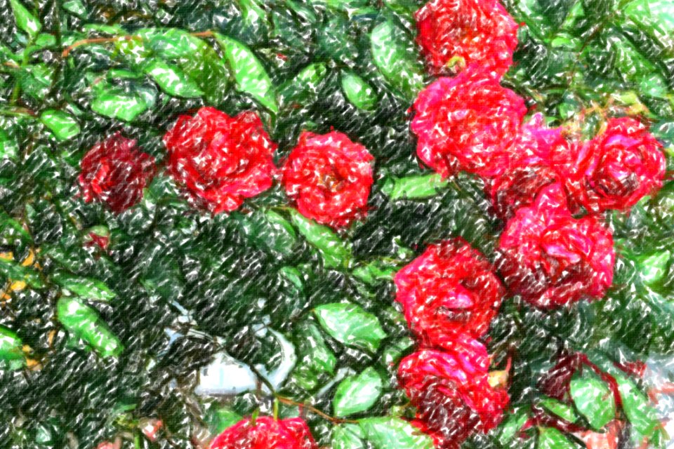 flowers (51)-crayon