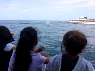 SBNMS students whale watching photo
