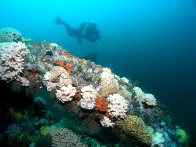 MNMS diver over shipwreck photo
