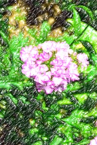 flowers (39)-crayon