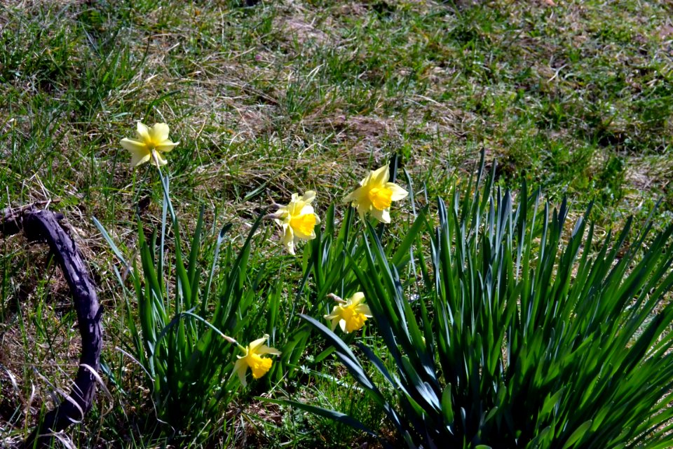 Spring 2014