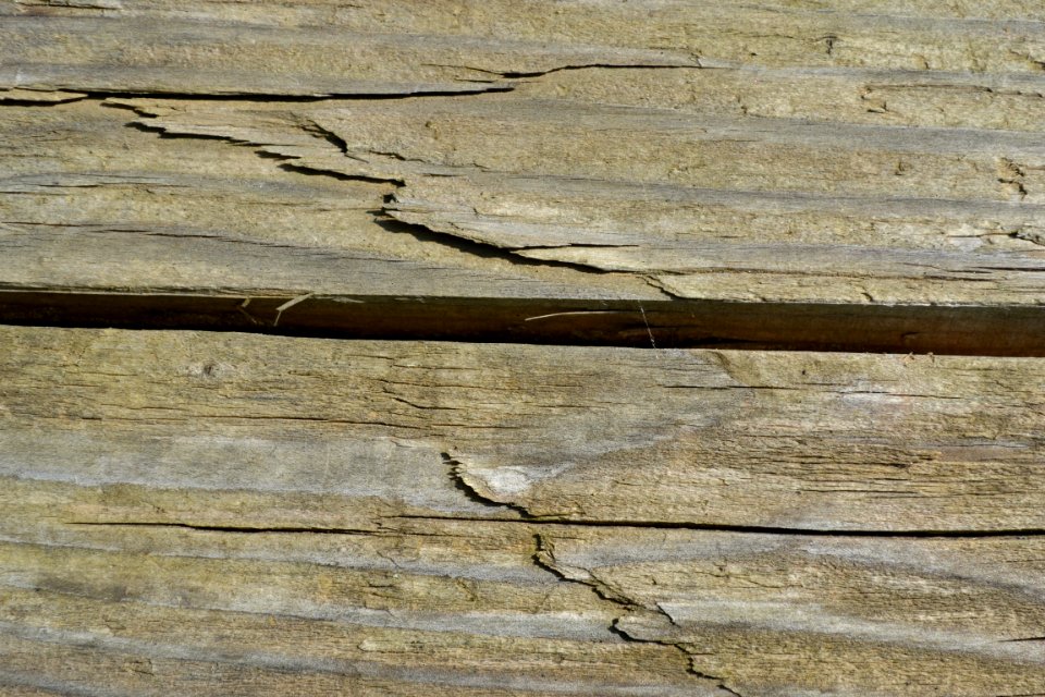 wood