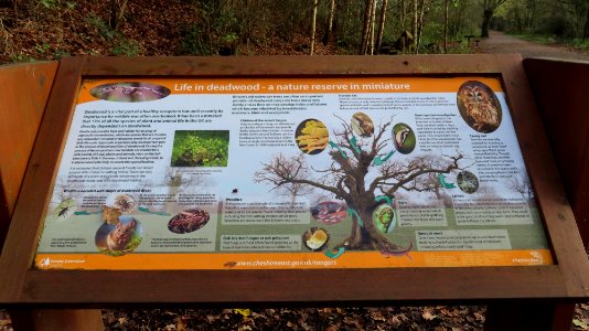 Salt Line Information