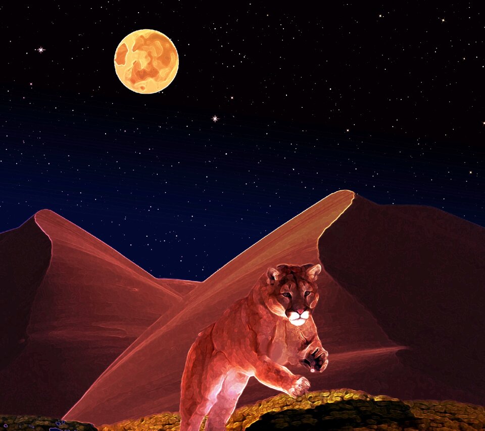 Hunt fantasy picture fantasy image